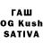 Cannafood конопля gustav Kmzi