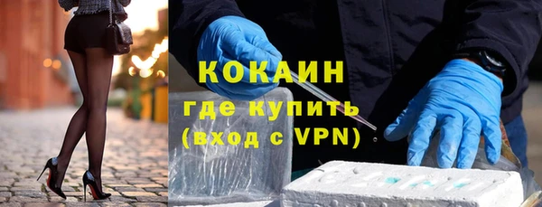 соль ск Ельня