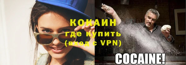 винт Елизово