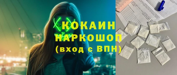соль ск Ельня