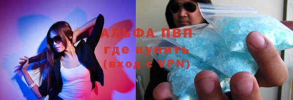 соль ск Ельня