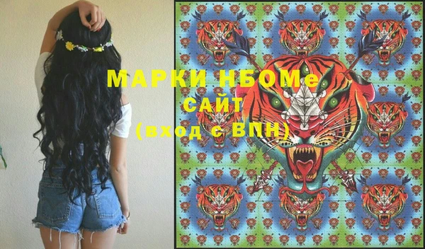 винт Елизово