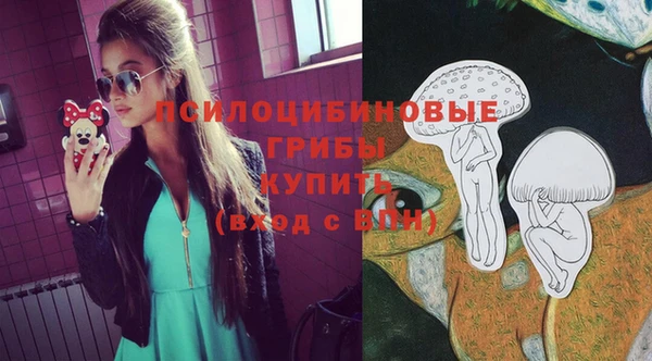 герыч Елабуга
