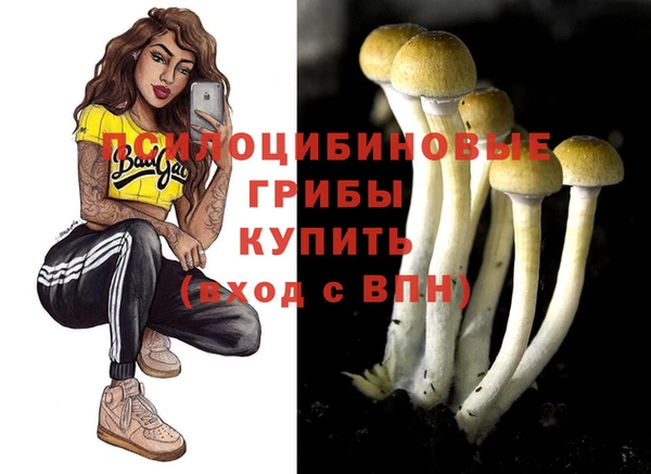 соль ск Ельня