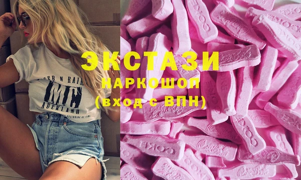 соль ск Ельня