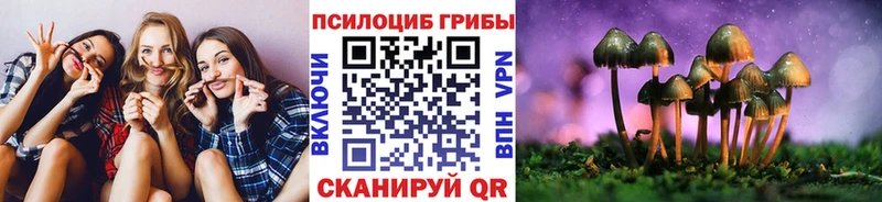 Галлюциногенные грибы Magic Shrooms  Купить где  Фурманов 